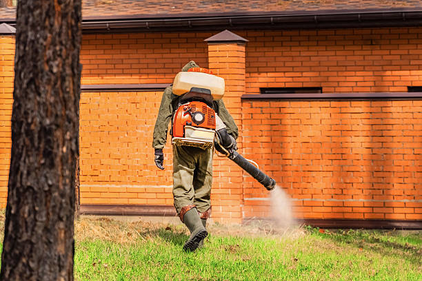 Bed Bug Clearance Verification and Documentation in Troy